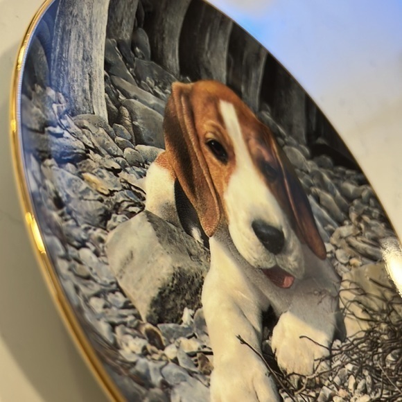 BEAGLES lovers plate by Simon‎ Mendez - Picture 7 of 10
